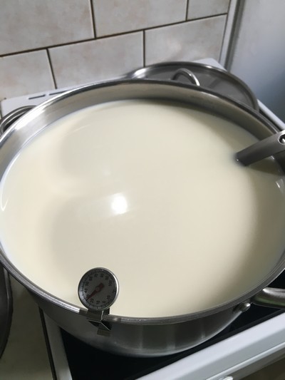 Halloumi – grilovací sýr